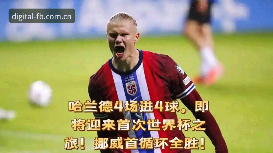 世界杯冷门夜，哈兰德中框那一刻，我为什么笃定挪威能赢？